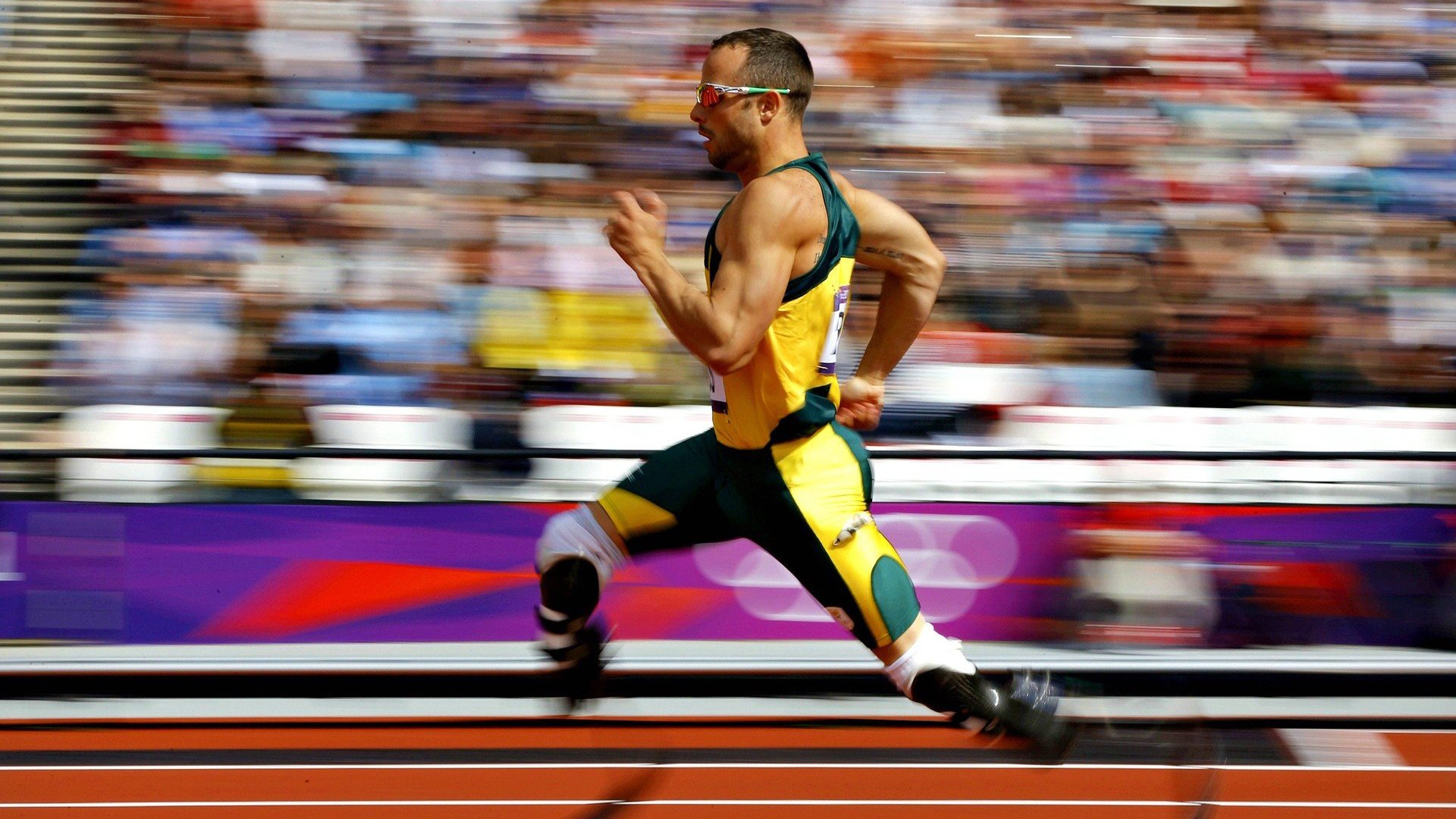 名人表演赛：娱乐与竞技的完美结合